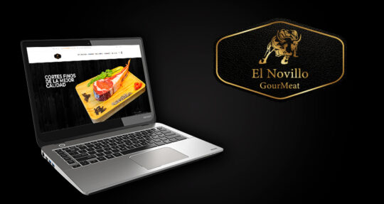 ElNovillo_01